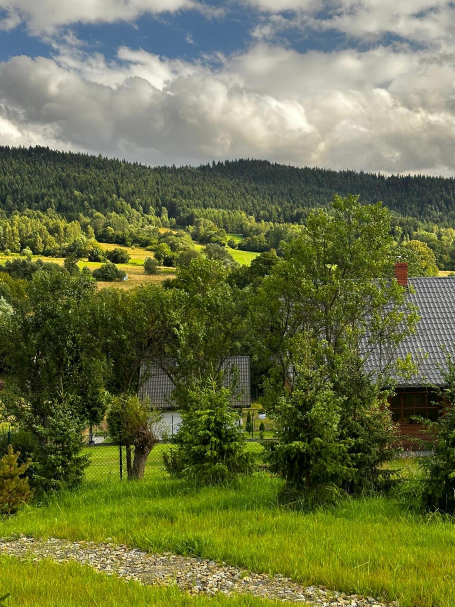 Black Deer - Z Sauna Na Tarasie, Jacuzzi I Widokiem Na Gory - By Deer Hills Luxury Apartments Kocon Eksteriør bilde